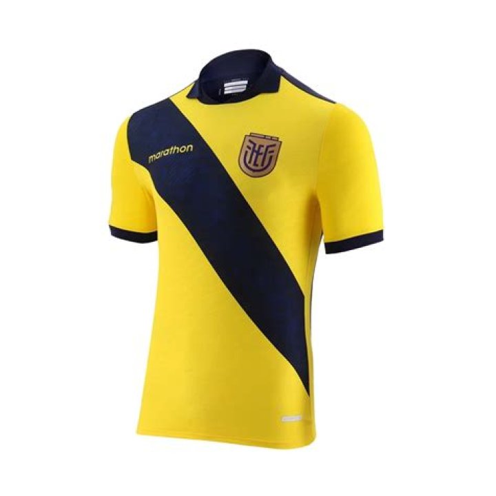 Unveiling the Polyester Ecuador Copa America 2024 Men's Jersey: A Blend of Style and Spirit