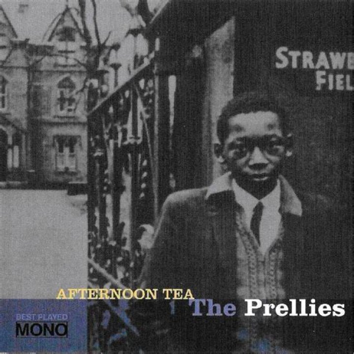 Cute Prellies: Adorable Finds for Your Little One