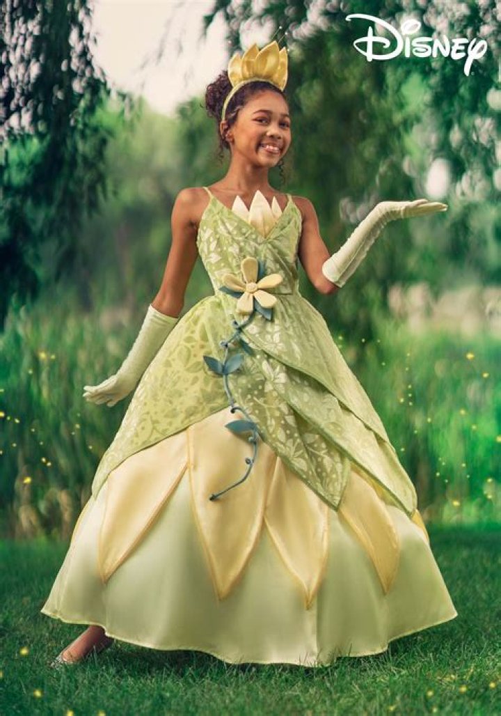 Enchanting Princess and the Frog Costume Ideas for All Ages