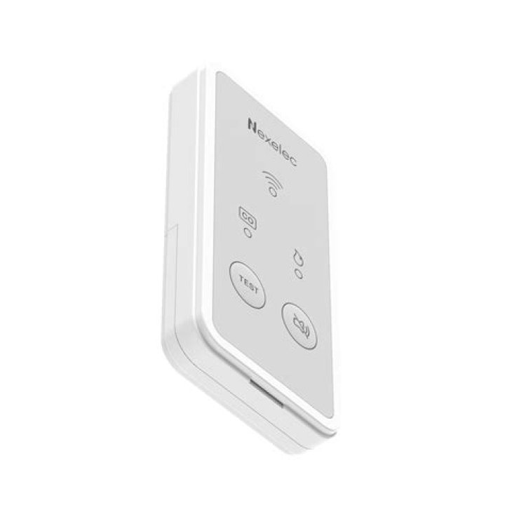 RemoteIoT Batch Job Example: Streamlining Data Processing for IoT Applications