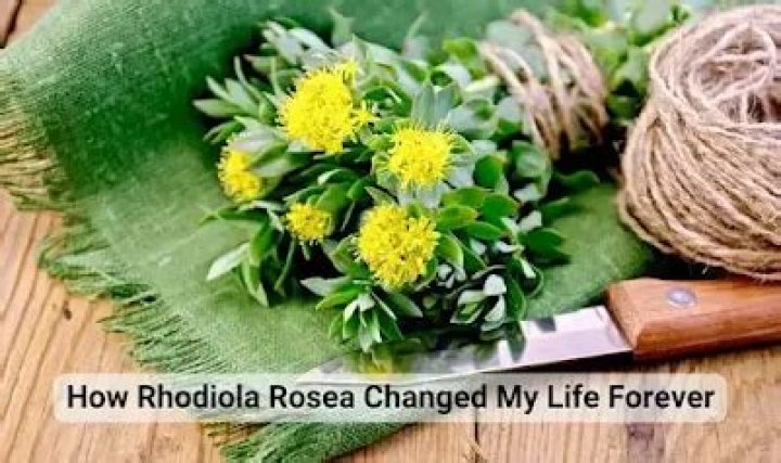How Rhodiola Rosea Changed My Life: A Journey to Wellness