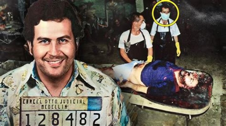 Unveiling the Wealth of Sebastian Marroquin: A Deep Dive into His Net Worth