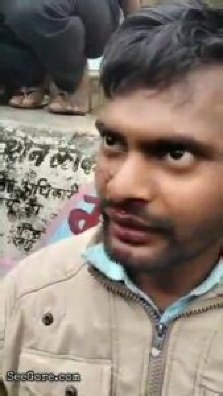 Understanding Seegore: The Ultimate Guide to This Emerging Trend