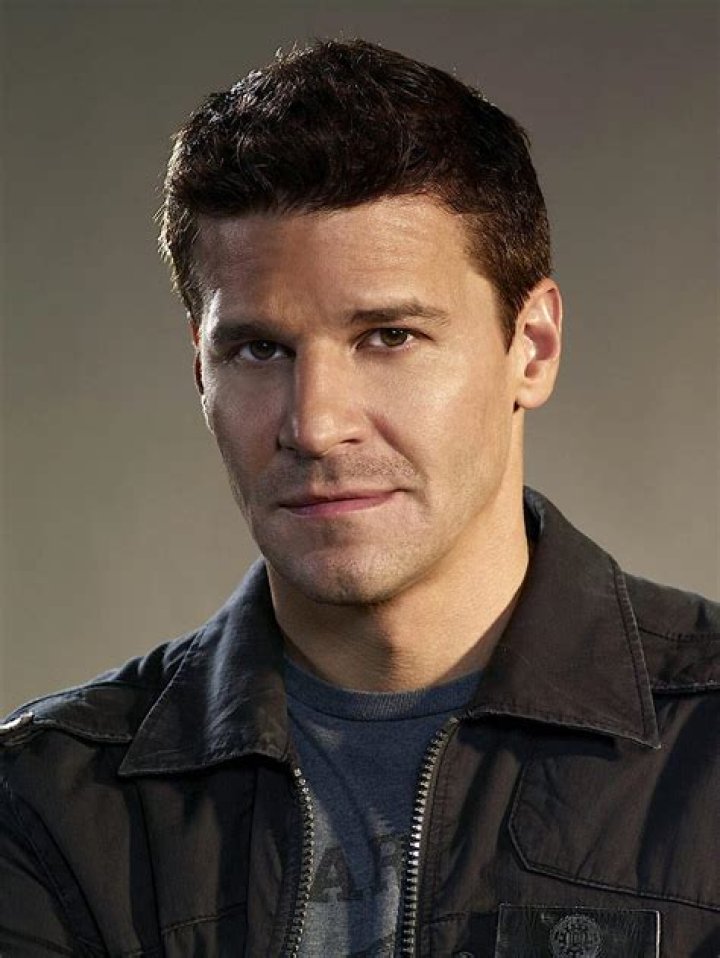 Seeley Booth Actor: The Life and Legacy of David Boreanaz