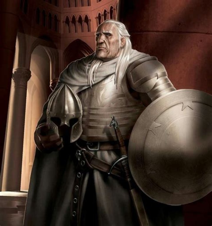 Unveiling the Legend of Ser Barristan: The Knight of the Kingsguard