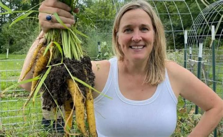 Shannon Factor Net Worth: A Comprehensive Analysis of Wealth and Success