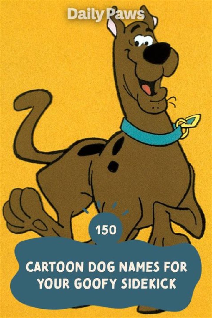 Silly Cartoon Names: A Fun Dive into the Wacky World of Animated Characters