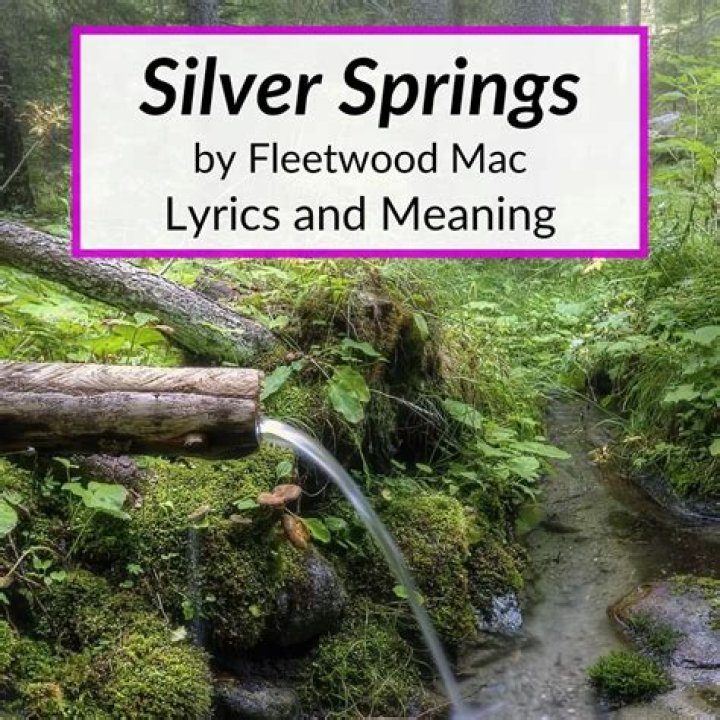 Understanding the Meaning of "Silver Spring" by Fleetwood Mac