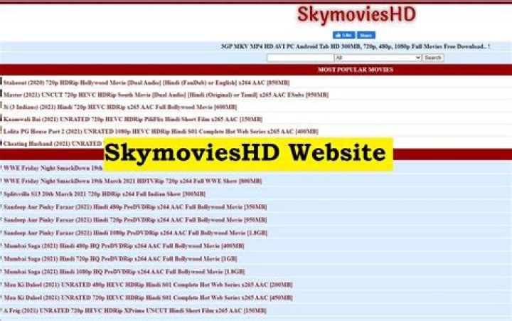 Exploring the World of Skymovies In: Your Gateway to Entertainment