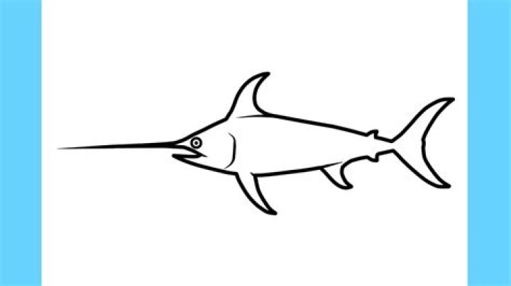 Artistic Expressions: Crafting a Small Simple Sketch of Sword Fish