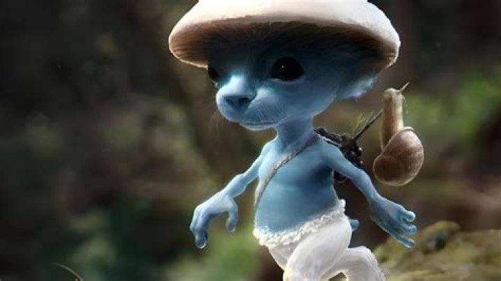Everything You Need to Know About Smurf Cats: The Ultimate Guide