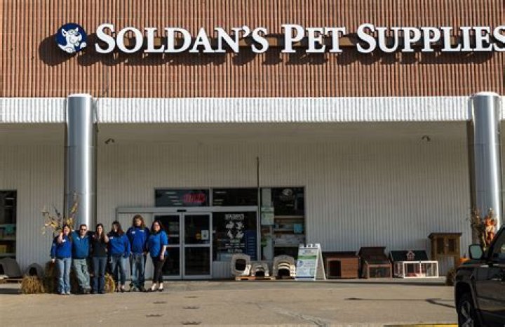 Discovering the Charm of Soldan's Pet Store