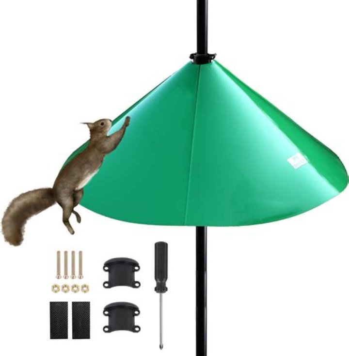 Ultimate Guide to Squirrel Baffle for Bird Feeder: Protect Your Feeder Today!