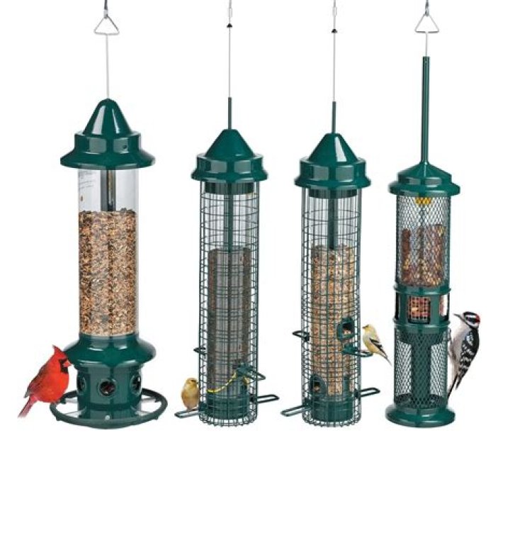 Squirrel Buster Bird Feeders: The Ultimate Guide to Protecting Your Feeder from Squirrels