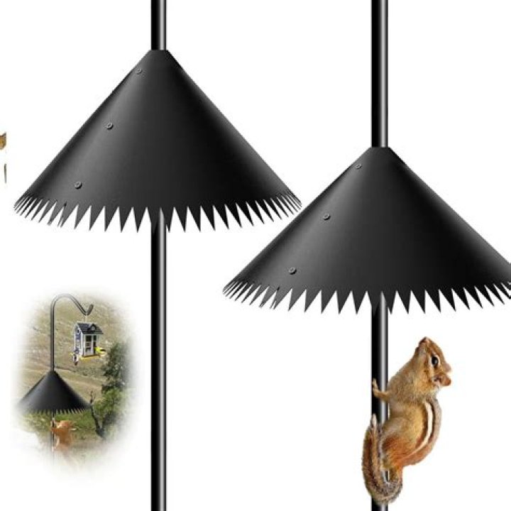 Squirrel Proof Bird Feeder Pole: The Ultimate Solution for Birdwatchers