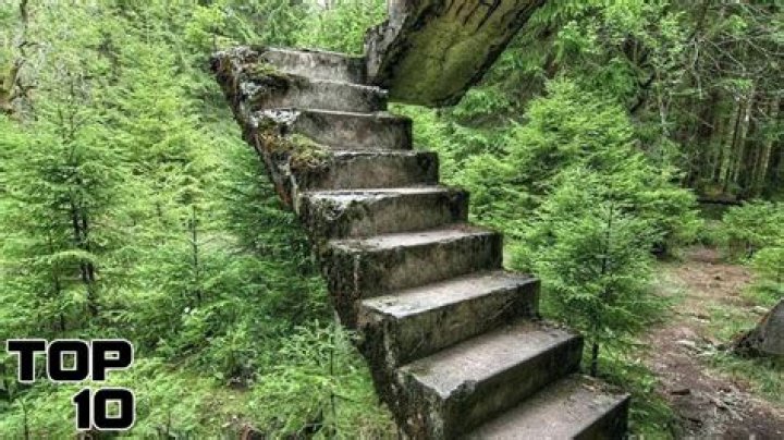 Stairs in the Woods: A Hidden Gem of Nature's Mysteries