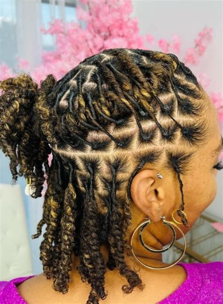 Starter Locs: Everything You Need to Know to Begin Your Journey