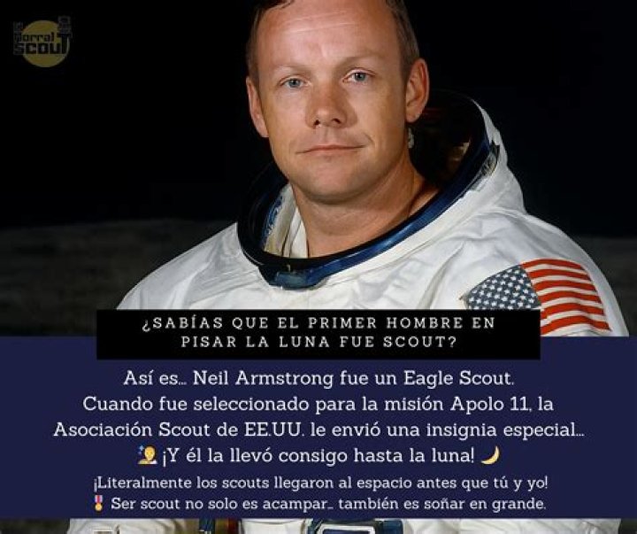 Top Stewart Companies & Services