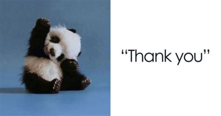 Thank You Meme Funny: The Ultimate Collection to Brighten Your Day