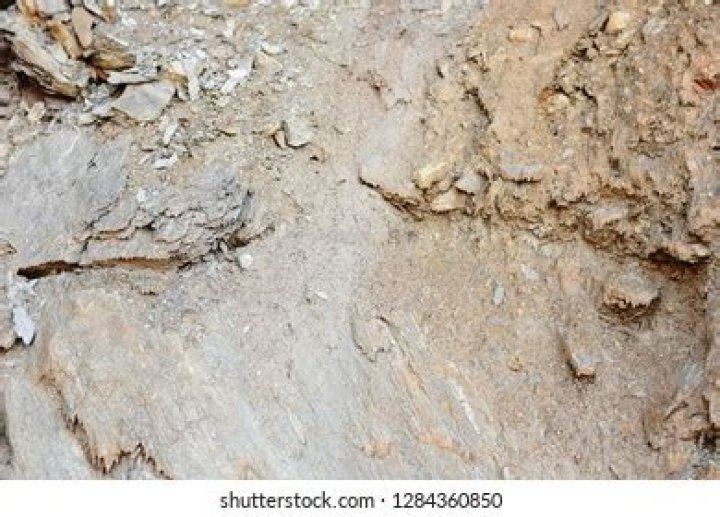 The Rock Ethnic Background: Understanding Dwayne Johnson's Heritage