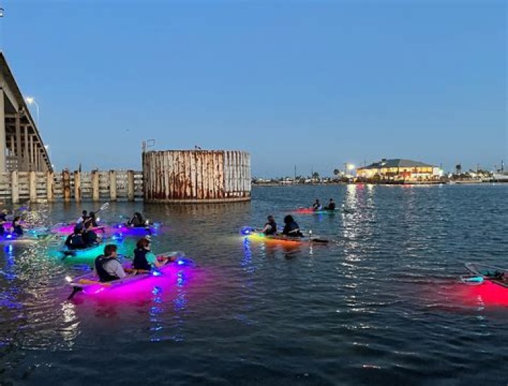 Discover the Best Things to Do in Corpus Christi, Texas