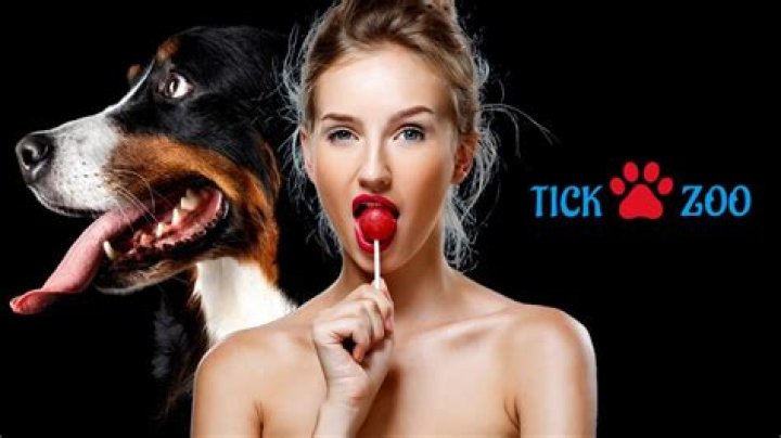 Discovering the Enigma of TickZoo: A Unique Adventure Awaits