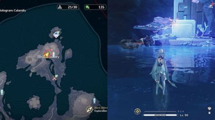 Tidal Heritage: Wuthering Waves and Their Impact on Coastal Ecosystems