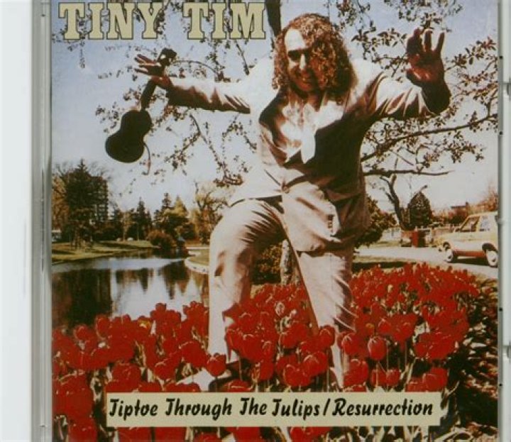 Tiny Tim Tiptoe Through the Tulips: A Deep Dive into a Timeless Classic
