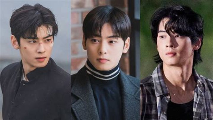 Exploring TV Shows with Cha Eun-Woo: A Comprehensive Guide