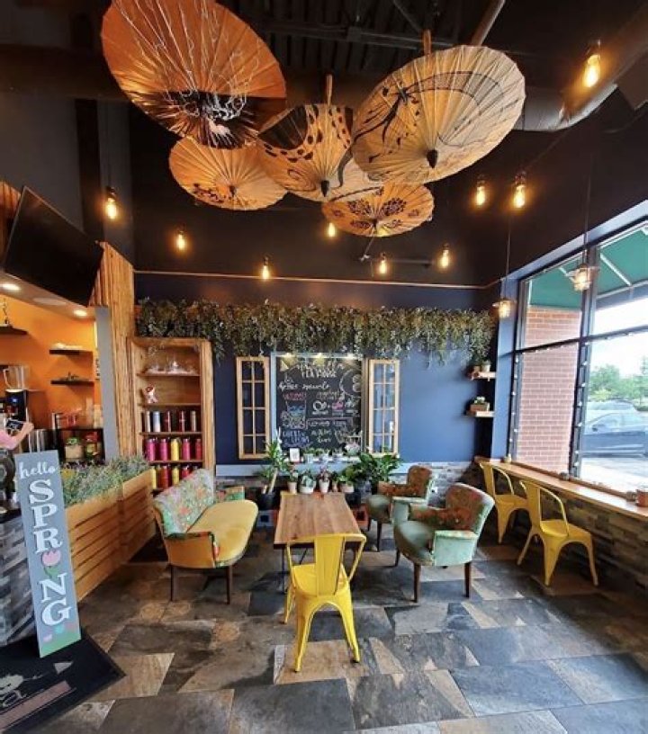 Discover the Charm of the Umbrella Tea House