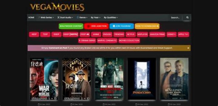 Vegamovies.nl 2024: All You Need to Know About This Premier Movie Download Site
