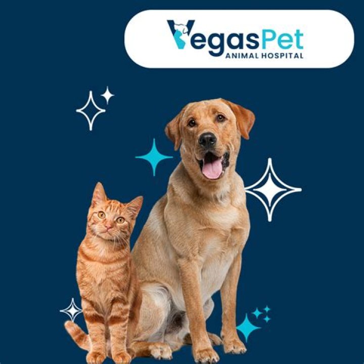 Trustworthy Pet Care in Las Vegas | Vegas Pet Family