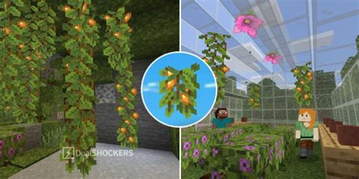 Exploring the Mysteries of the Vine that Grows Glowberries in Minecraft
