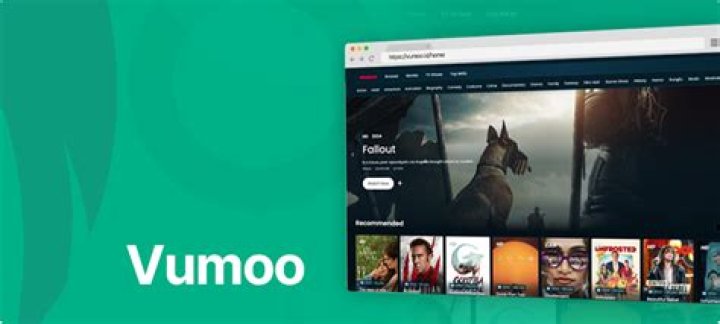 Exploring the World of Vumoo: A Comprehensive Guide