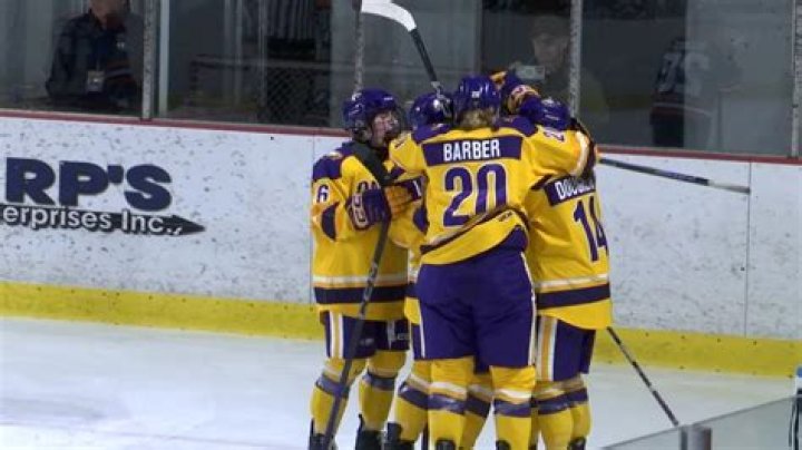 Discovering the Heart of the Southern Tier: Wetm Elmira