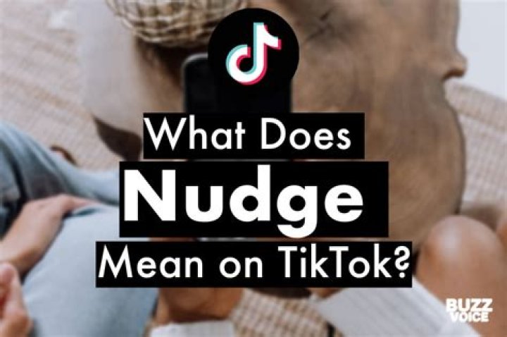 Understanding the Nudge Phenomenon on TikTok