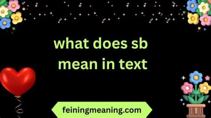 Decoding the Mystery: What Does SB Mean in Text?