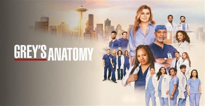 What Episode Was the Shooting in Grey's Anatomy?
