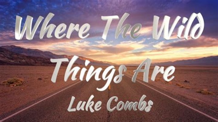 Where the Wild Things Are: Luke Combs' Meaning Behind the Song