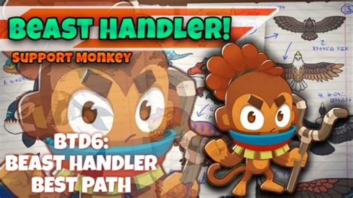 Choosing the Right Path in Beast Handling: A Complete Guide