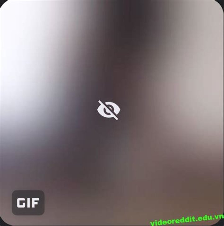 WhipitDev Only: Unlocking the Future of Development