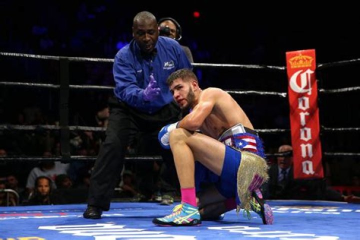 Who Is Prichard Colon's Sister? Unveiling the Story Behind the Spotlight