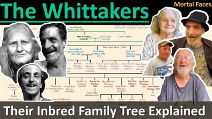 Unraveling the Mystery: Who is Timmy Whitaker's Dad Still Alive?