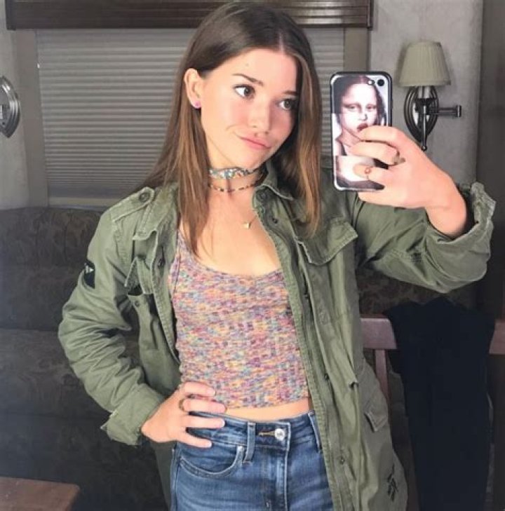 Who Portrayed Lisa McVey? A Deep Dive into the Actress Behind the Role