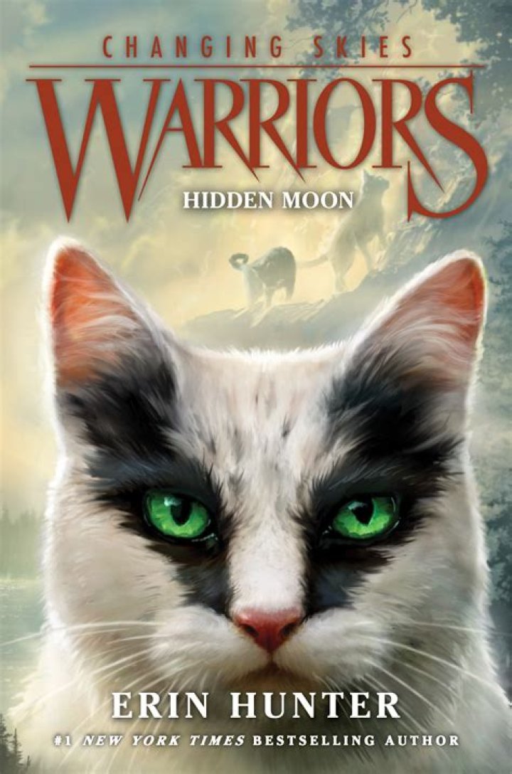 Discovering Woorier Cats 2.3: The New Age of Feline Companionship