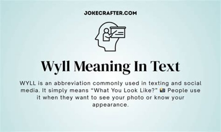 Understanding the Meaning of "Wyll" in Text Communication