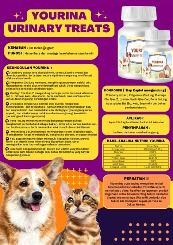 Yourina Videos: Exploring the Unseen World of Creativity and Expression